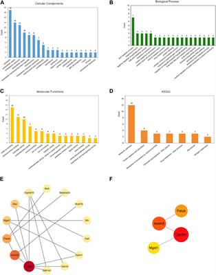 Delineation of renal protein profiles in aristolochic acid I-induced nephrotoxicity in mice by label-free quantitative proteomics